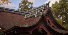 香椎宮の紅葉 2026