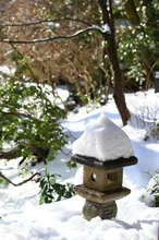 芝雪　展　-あたわり- 2026