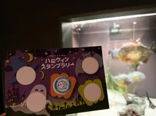 アクア・トト ぎふのハロウィン 2026