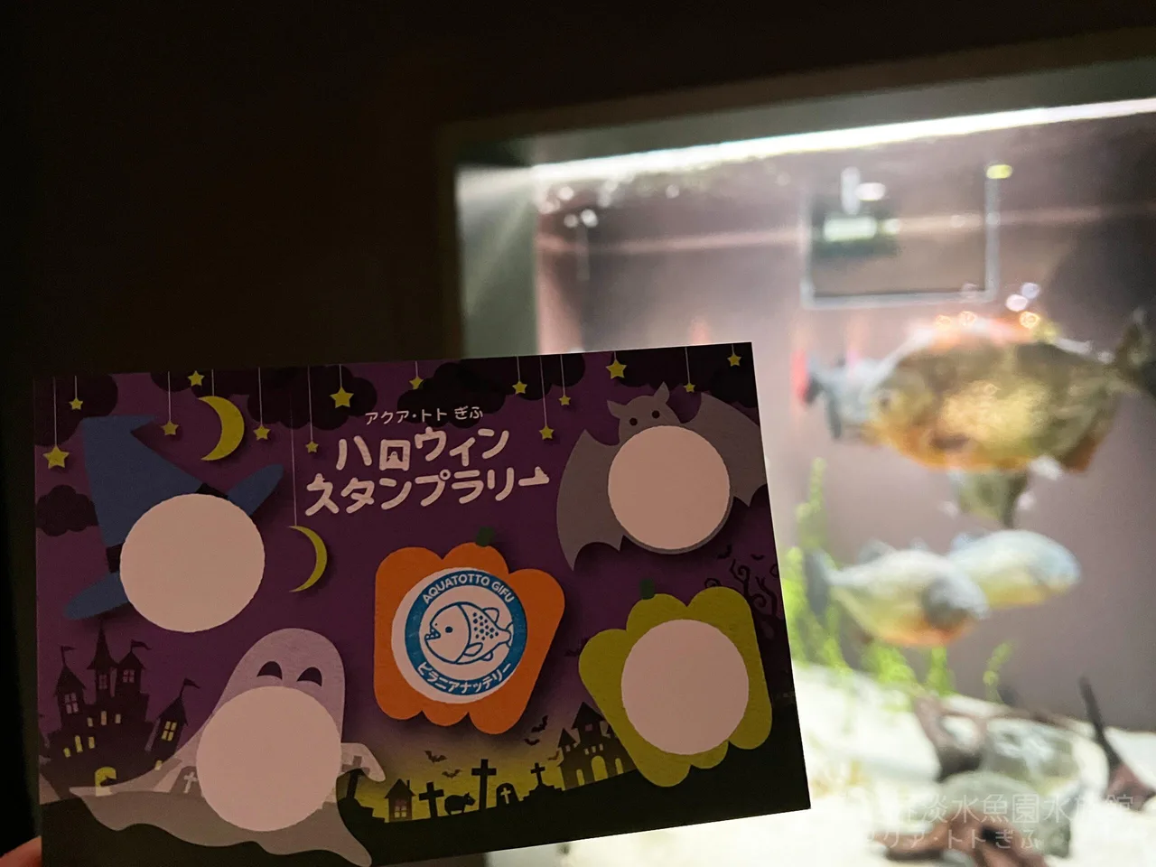アクア・トト ぎふのハロウィン 2026