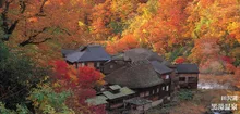 抱返り紅葉祭 2026