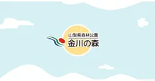 金川ForestaFelice～森とクリスマスと～ 2026