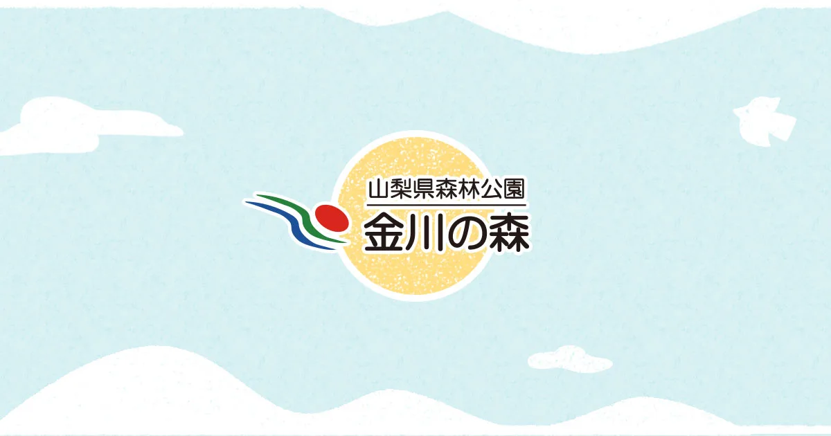 金川ForestaFelice~森とクリスマスと~ 2026