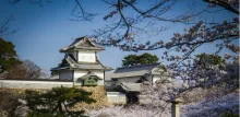 玉泉院丸庭園の紅葉 2026