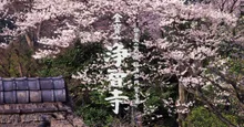 浄智寺の紅葉 2026