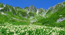 【紅葉・見ごろ】信州駒ヶ根高原　千本もみじ物語 2026