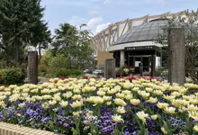名城公園の紅葉 2026
