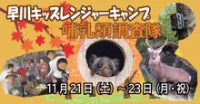 早川キッズレンジャーキャンプ哺乳類調査隊 2026
