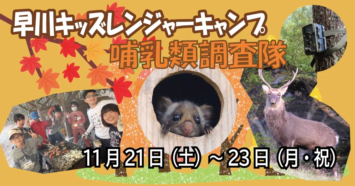 早川キッズレンジャーキャンプ哺乳類調査隊 2026