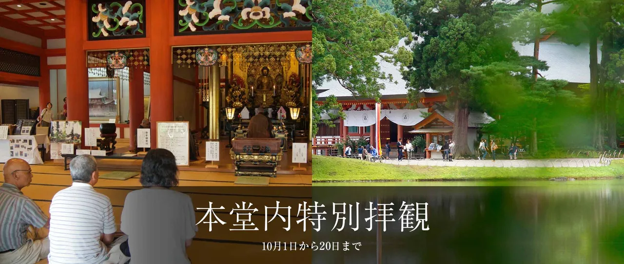 【紅葉・見ごろ】毛越寺 2026