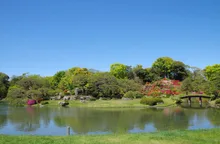 【紅葉・見ごろ】六義園 2026