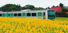 落石の紅葉 2026