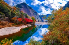 【紅葉・見ごろ】古座川峡 2026