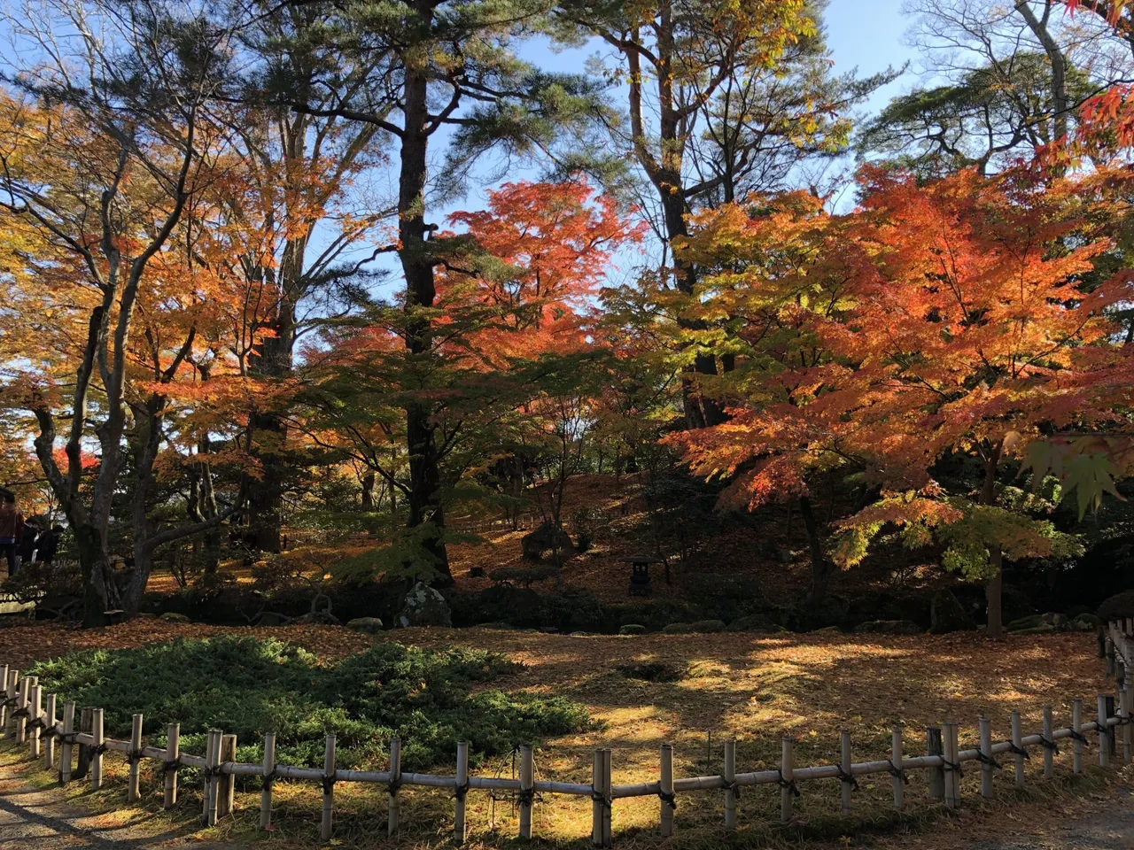 【紅葉・見ごろ】倶利迦羅不動寺 西之坊鳳凰殿 2026
