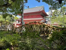 【紅葉・見ごろ】芝公園 2026