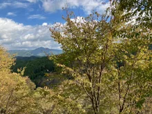 【紅葉・見ごろ】吉野山 2026