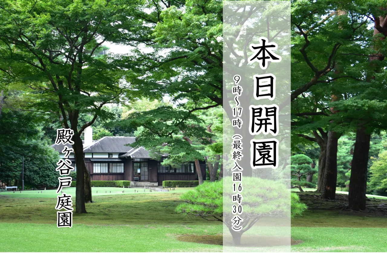 殿ヶ谷戸庭園の紅葉 2026