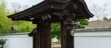 【紅葉・見ごろ】有楽苑 2026