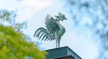 慈照寺(銀閣寺)の紅葉 2026