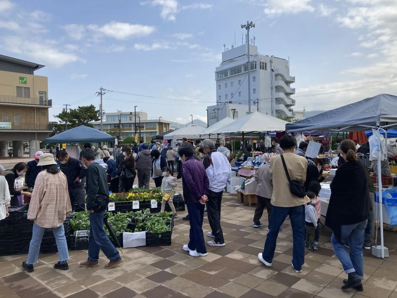 弁慶市(12月) 2026