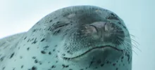 のんほいパーク　オータムフェスティバル2026