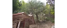 重源の郷の紅葉 2026