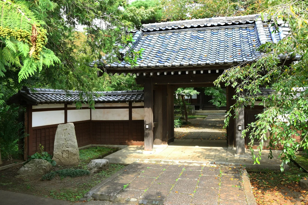 貝合わせを作る会 2026