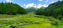 鳳来寺山の紅葉 2026