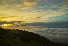 【紅葉・見ごろ】野呂山 2026