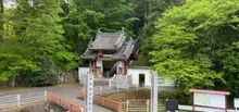 少林山達磨寺の紅葉 2026