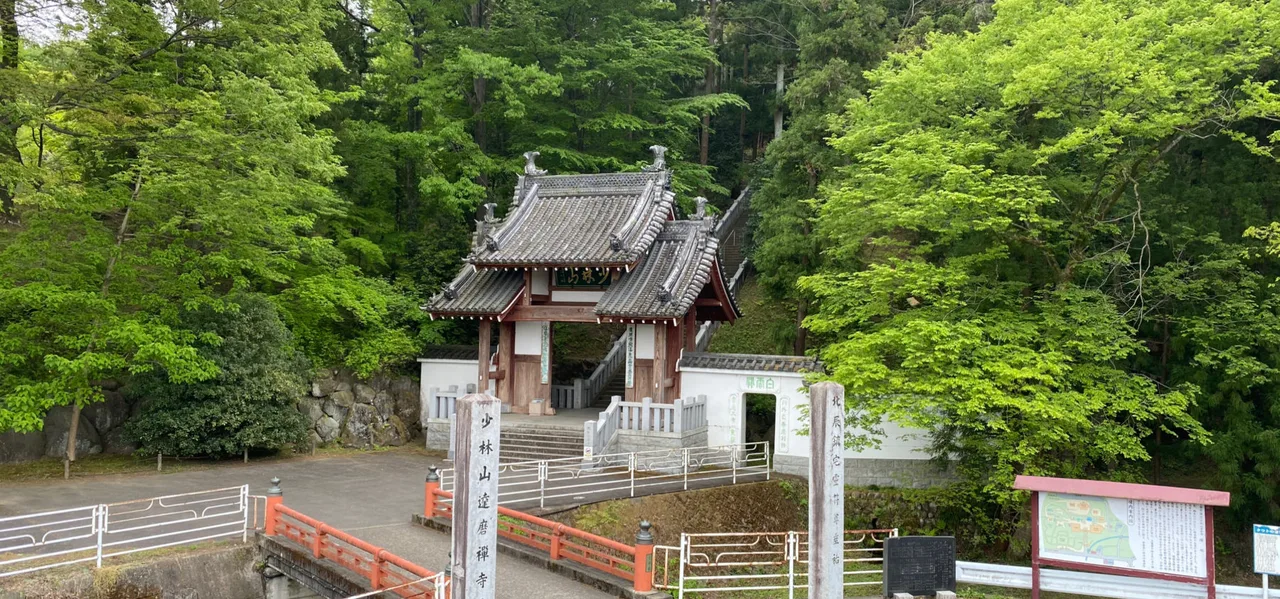 少林山達磨寺の紅葉 2026