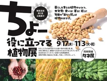 企画展示「ちょー役に立ってる植物展」 2026