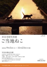 岩合光昭写真展　ご当地ねこ 2026