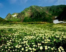 秋田駒ケ岳山開き 2026