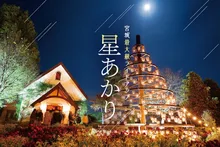星あかり 2026
