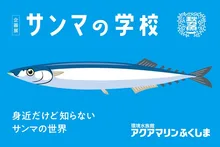 企画展「サンマの学校」 2026