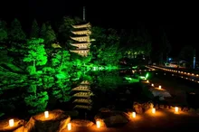 山口ゆらめき回廊 2026