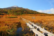 【紅葉・見ごろ】鳥海山 2026
