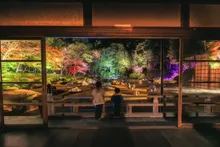 常栄寺雪舟庭 秋のライトアップ 2026
