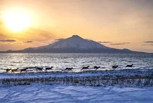 第32回野生生物写真コンテスト 2026