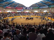 定期闘牛大会　秋場所 2026