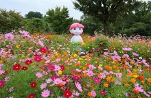 2026かざはやの里 花と祈りの秋桜まつり