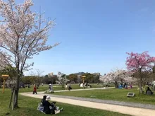 第3回 ロハスパーク福岡@舞鶴公園 2026