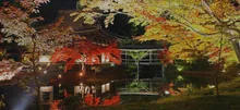 高台寺秋の夜間特別拝観 2026