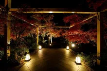 紅葉ライトアップ　～池に映るもみじの水鏡～ 2026
