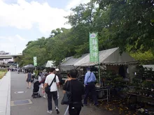 秋の植木市（大阪城公園） 2026