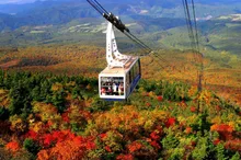 八甲田連峰の紅葉 2026
