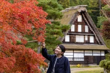 【紅葉・見ごろ】飛騨の里 2026