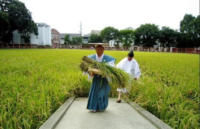住吉大社 宝之市神事・升の市 2026