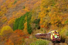 わたらせ渓谷鐵道の紅葉 2026